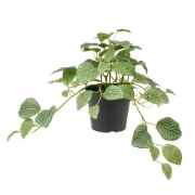 Picture of Fejka Artificial Potted Plant